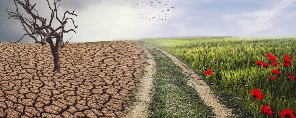 Tradicionalismo – Por qué el cambio climático se ha convertido en religión del poder