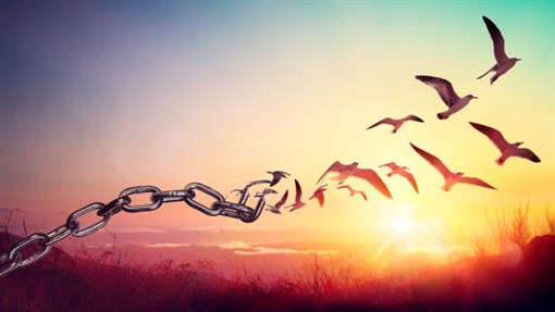Tradicionalismo – La hegemonía cultural y la batalla por las ideas