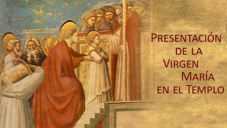 CATÓLICOS EN VALENCIA – Boletín Aleluya 17 noviembre 2024
