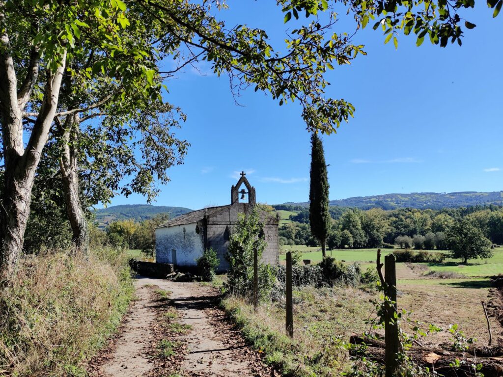 CATÓLICOS DE LUGO – 26 de diciembre: San Esteban