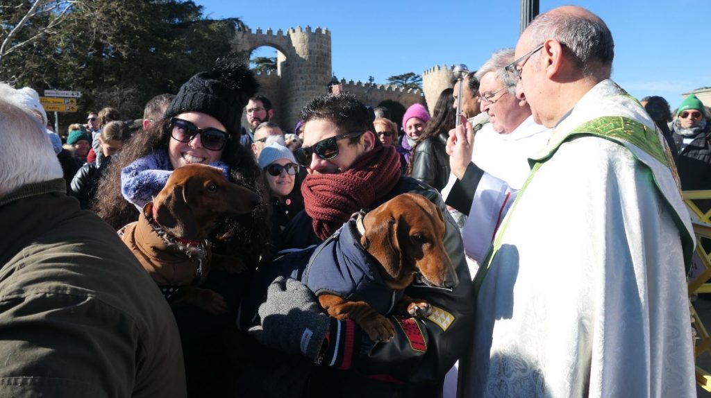 CATÓLICOS EN ÁVILA – Bendición de los animales por San Antón