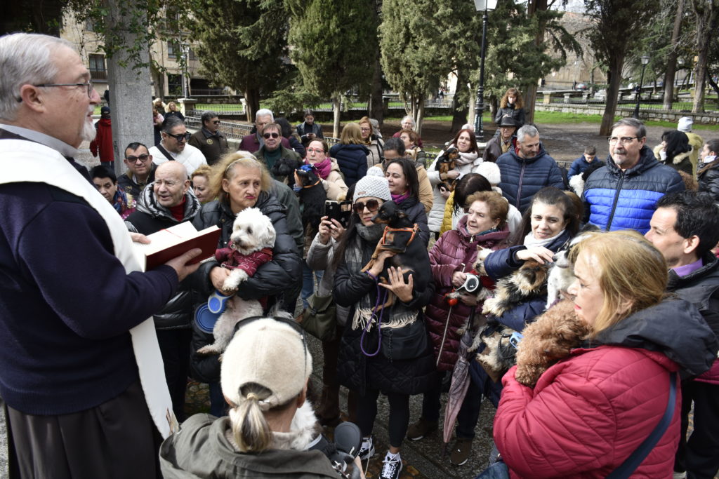 CATÓLICOS EN SALAMANCA – Bendición de los animales y eucaristía por la festividad de San Antón