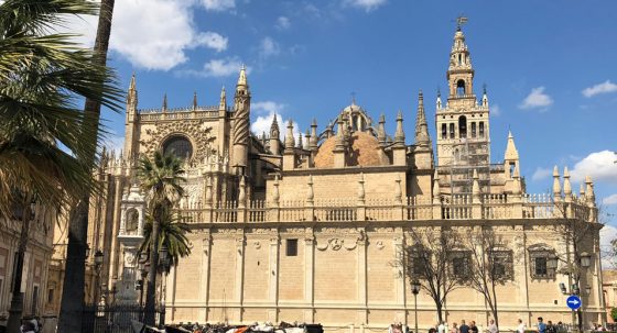 CATÓLICOS EN SEVILLA – La Catedral y el Salvador superan sus registros de visitas