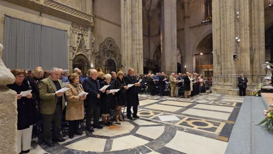 CATÓLICOS EN SEVILLA – La Catedral acoge la celebración de las bodas de oro y plata matrimoniales en el marco del Jubileo 2025
