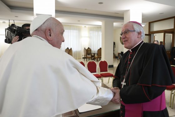 CATÓLICOS EN SEVILLA – Audiencia del papa Francisco al comité ejecutivo del Congreso de Hermandades