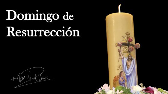 CATÓLICOS EN SEVILLA – Mensaje del arzobispo de Sevilla en el Domingo de Resurrección