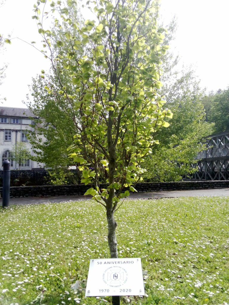 CATÓLICOS EN CANTABRIA – LII Peregrinación Diocesana a Lourdes