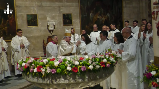 CATÓLICOS EN SEVILLA – Mons. Saiz: «El mundo necesita cristianos firmes, vivos, alegres, entregados»