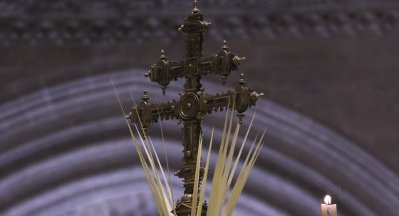 CATÓLICOS EN SEVILLA – LECTURAS DEL DOMINGO DE RAMOS- CICLO C