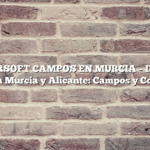 JUEGO AIRSOFT CAMPOS EN MURCIA – Descubre el Airsoft en Murcia y Alicante: Campos y Comunidad