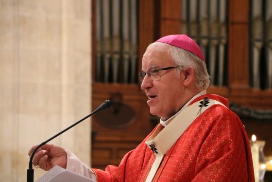CATÓLICOS EN SEVILLA – Homilía en misa de acción de gracias por la reapertura de la misa de Aznalcóllar