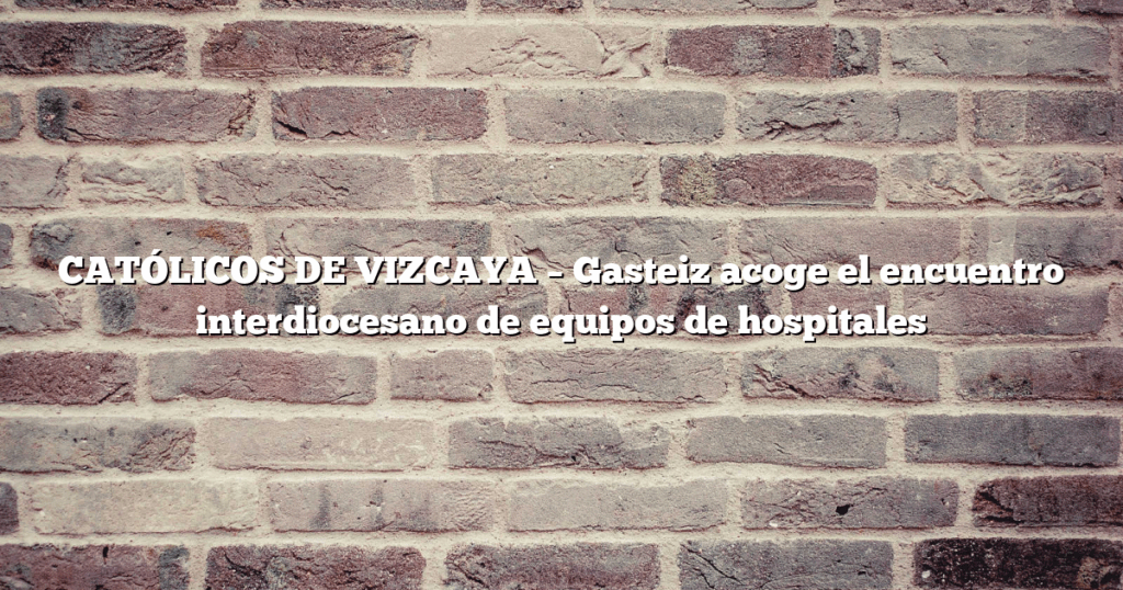 CATÓLICOS DE VIZCAYA – Gasteiz acoge el encuentro interdiocesano de equipos de hospitales