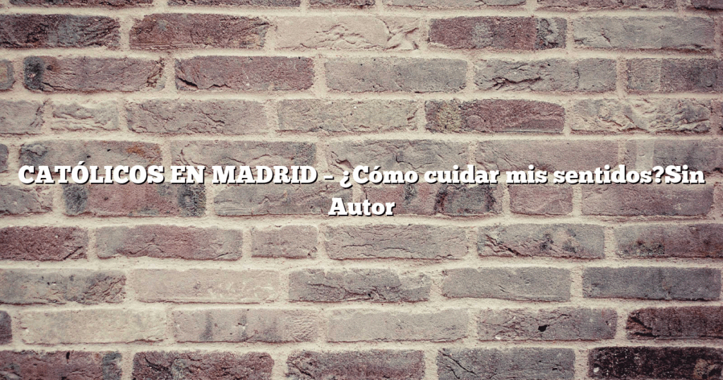 CATÓLICOS EN MADRID – ¿Cómo cuidar mis sentidos?Sin Autor