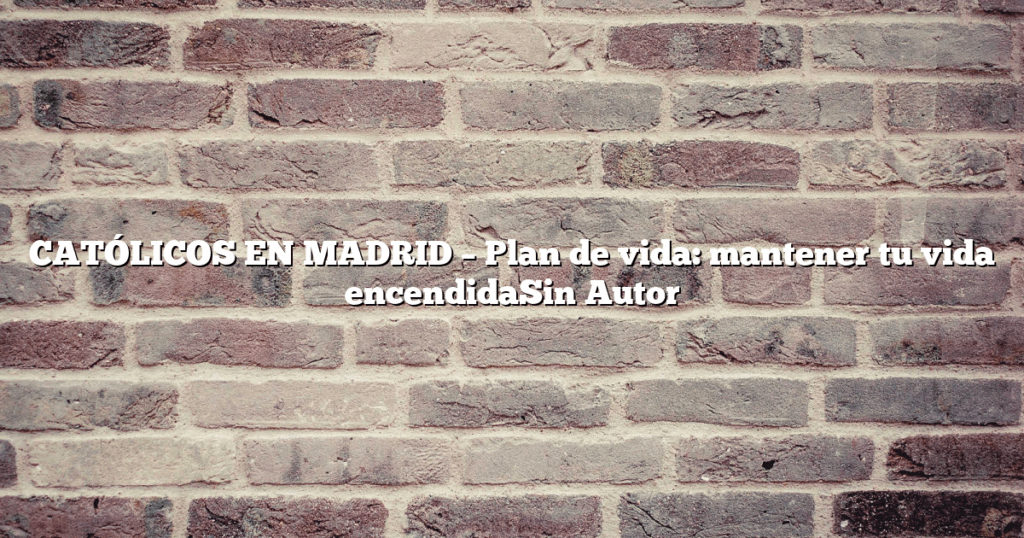 CATÓLICOS EN MADRID – Plan de vida: mantener tu vida encendidaSin Autor