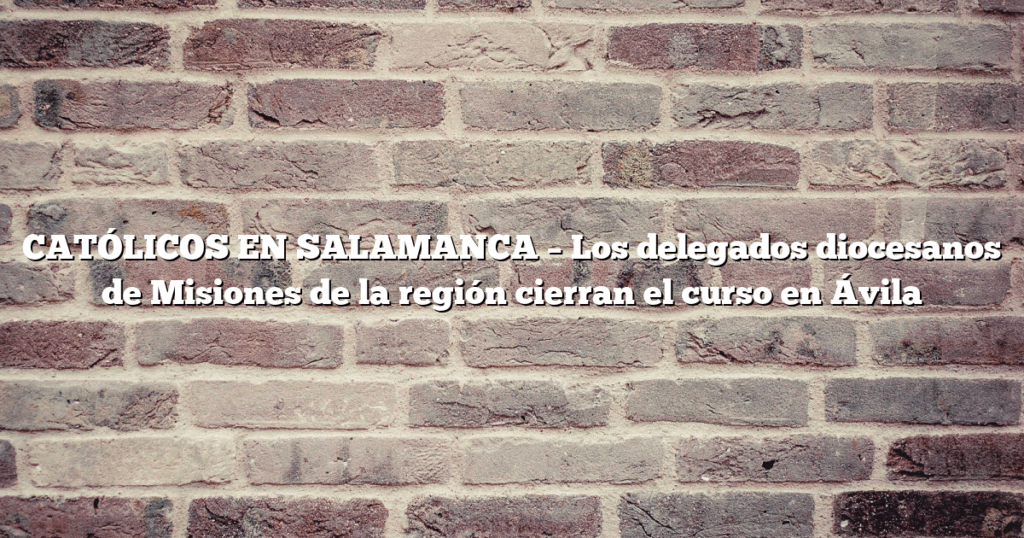 CATÓLICOS EN SALAMANCA – Los delegados diocesanos de Misiones de la región cierran el curso en Ávila