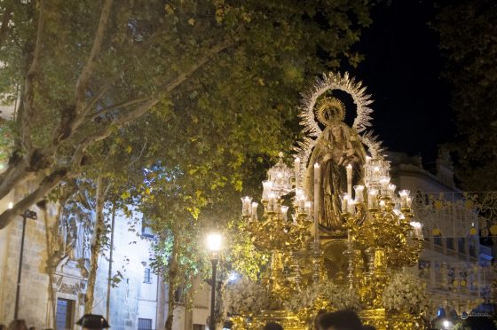 CATÓLICOS EN SEVILLA – El arzobispo coronará a la Virgen del Amparo en noviembre de 2026