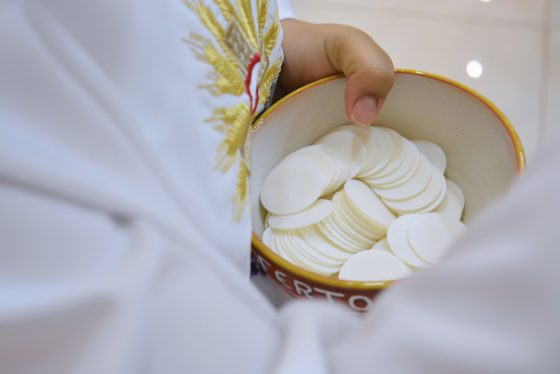 CATÓLICOS EN SEVILLA – Primeras misas de los futuros sacerdotes de la Archidiócesis de Sevilla