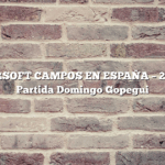 JUEGO AIRSOFT CAMPOS EN ESPAÑA – 27/07/2025 Partida Domingo Gopegui