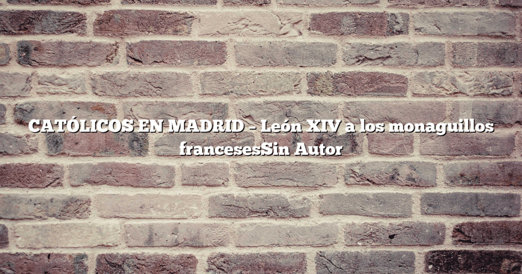 CATÓLICOS EN MADRID – León XIV a los monaguillos francesesSin Autor