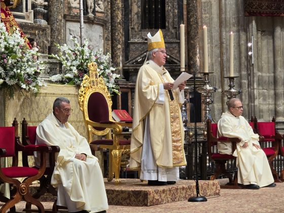 CATÓLICOS EN SEVILLA – Homilía de Monseñor José Ángel Saiz Meneses en el Jubileo de la Hermandad de la Santa Caridad de Sevilla