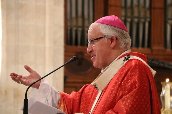 CATÓLICOS EN SEVILLA – El arzobispo convoca a toda la diócesis a participar el 29 de noviembre en el Encuentro Diocesano de la Esperanza