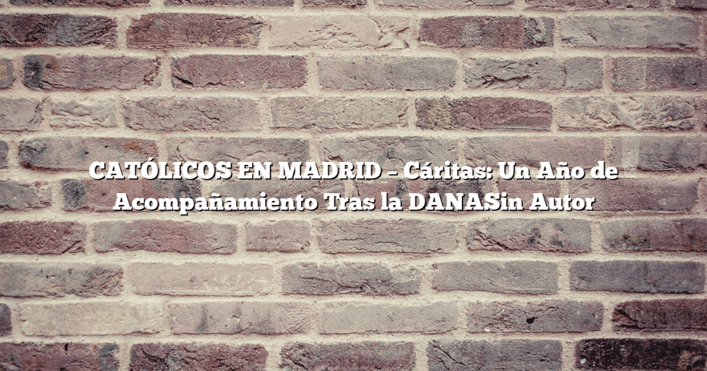 CATÓLICOS EN MADRID – Cáritas: Un Año de Acompañamiento Tras la DANASin Autor
