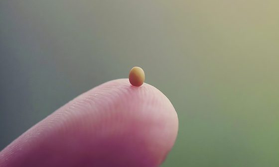 CATÓLICOS EN SEVILLA – Lecturas del Domingo XXVII del Tiempo Ordinario (Ciclo C)