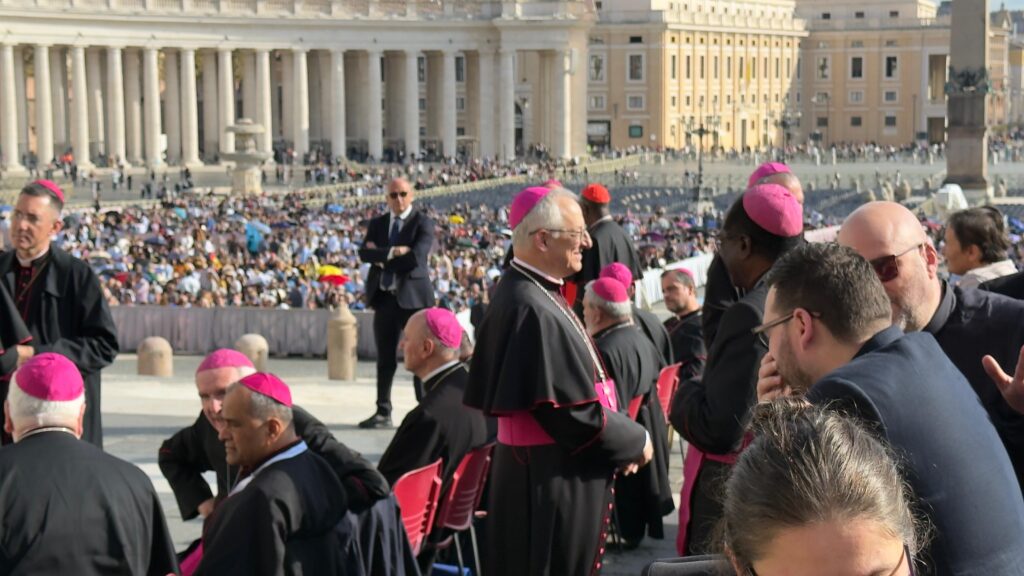 CATÓLICOS DE LUGO – Audiencia del Papa con los educadores