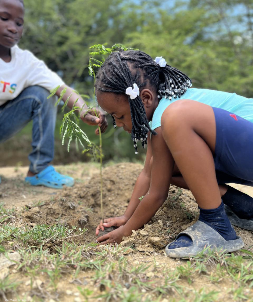 CATÓLICOS EN FERROL – Memoria Anual de 2024: transparencia y rendición de cuentas, pilar fundamental de PROCLADE
