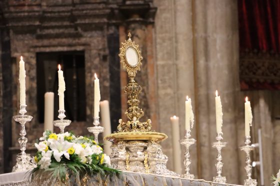 CATÓLICOS EN SEVILLA – Cientos de jóvenes se congregaron el pasado domingo en la Vigilia de la Inmaculada 2025
