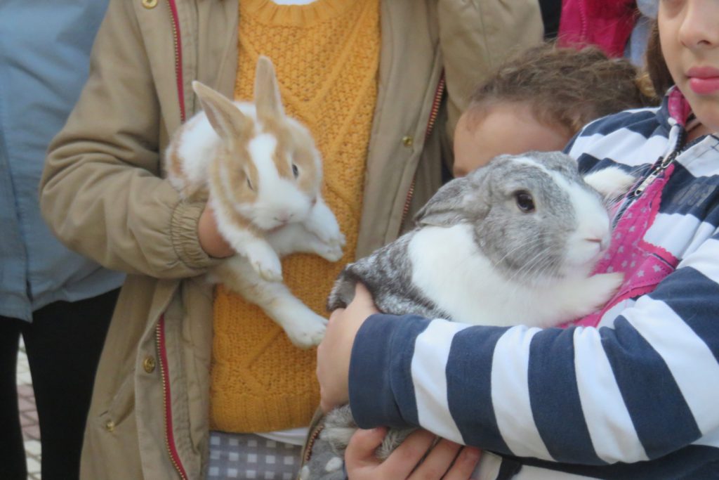 CATÓLICOS EN SEVILLA – Parroquias sevillanas celebran la bendición de animales por San Antonio Abad