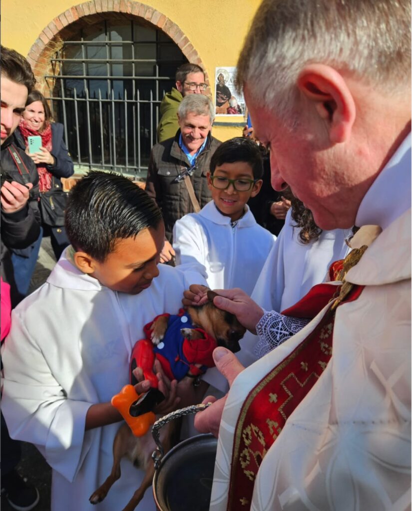 CATÓLICOS DE ASTURIAS – Bendición de los animales domésticos por San Antón
