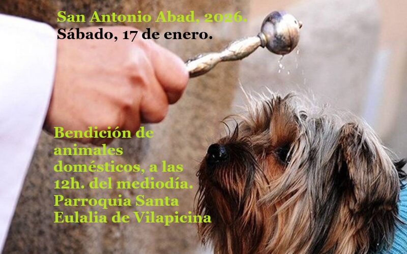 CATÓLICOS EN BARCELONA – Bendición de los animales domésticos