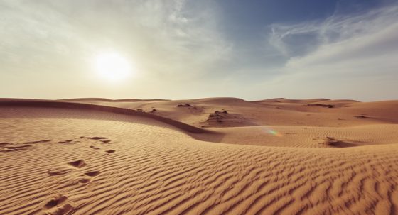 CATÓLICOS EN SEVILLA – “Tentaciones en el camino”