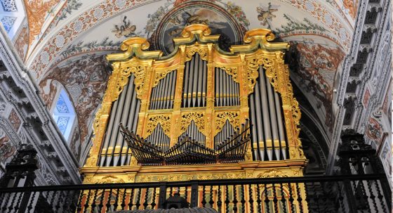 CATÓLICOS EN SEVILLA – El 4 de marzo comienza el nuevo ciclo de Conciertos de Órgano en el Hospital de los Venerables