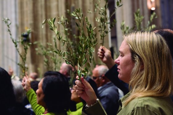 CATÓLICOS EN SEVILLA – ‘Domingo de Ramos: no nos quedemos en la puerta’