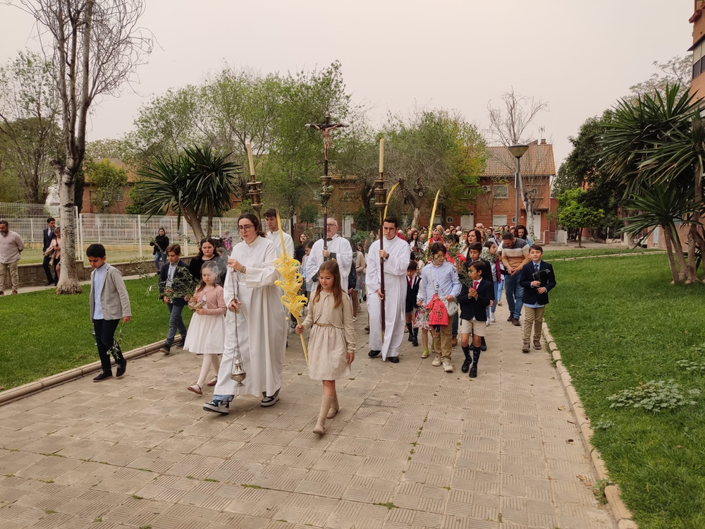 CATÓLICOS EN SEVILLA – La Parroquia abre la reserva de palmas para el Domingo de Ramos 2026