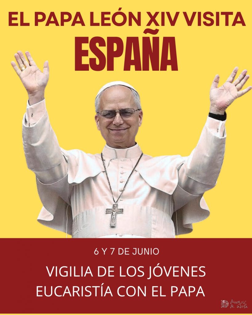 CATÓLICOS EN ÁVILA – Los jóvenes de Ávila, con el Papa en Madrid