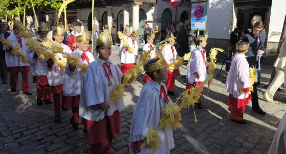 CATÓLICOS EN SEVILLA – El arzobispo asegura que «el Domingo de Ramos es una llamada a la verdad» y pide vivir una semana «santa de verdad»