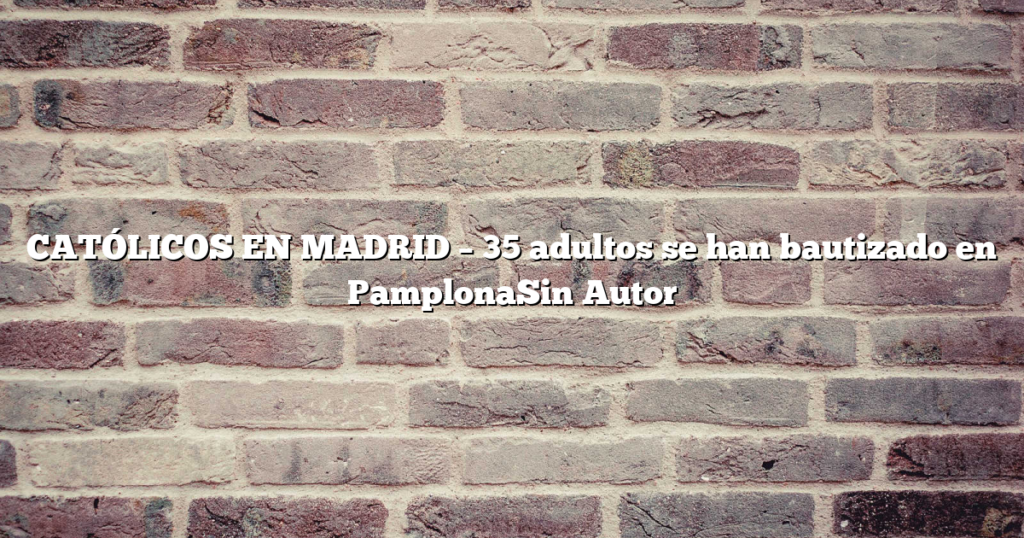 CATÓLICOS EN MADRID – 35 adultos se han bautizado en PamplonaSin Autor