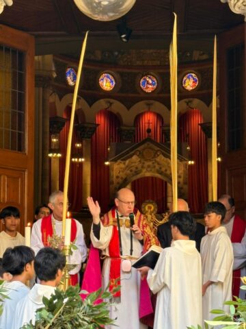 CATÓLICOS EN BARCELONA – L’alegria dels catòlics al Diumenge de Rams