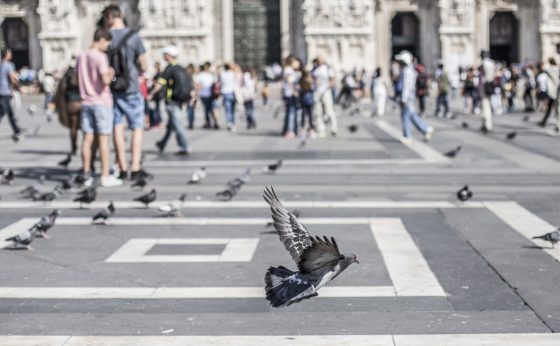 CATÓLICOS EN SEVILLA – Pentecostés, cuando la Iglesia rompe sus miedos y es enviada al mundo