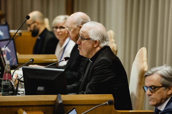 CATÓLICOS EN SEVILLA – Ponencia ‘Relación entre moderadores y obispos’ (Vaticano, 22-05-2026)
