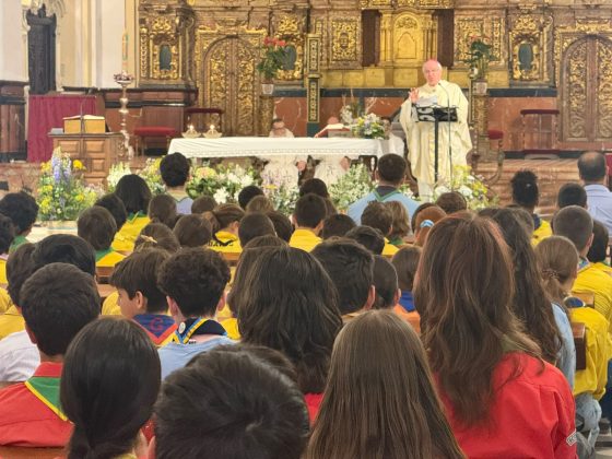 CATÓLICOS EN SEVILLA – Mons. Saiz Meneses: “La Iglesia necesita scouts santos”