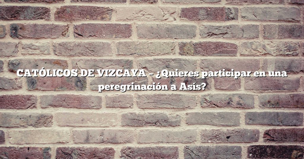 CATÓLICOS DE VIZCAYA – ¿Quieres participar en una peregrinación a Asís?