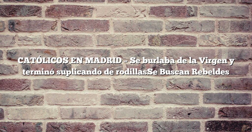 CATÓLICOS EN MADRID – Se burlaba de la Virgen y terminó suplicando de rodillasSe Buscan Rebeldes