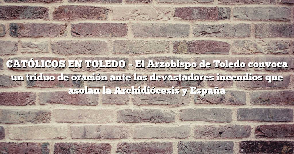 CATÓLICOS EN TOLEDO – El Arzobispo de Toledo convoca un triduo de oración ante los devastadores incendios que asolan la Archidiócesis y España
