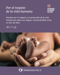 CATÓLICOS EN SALAMANCA – León XIV invita a rezar en julio por el respeto de la vida humana en todas sus etapas